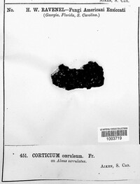 Image Associated With the Occurence